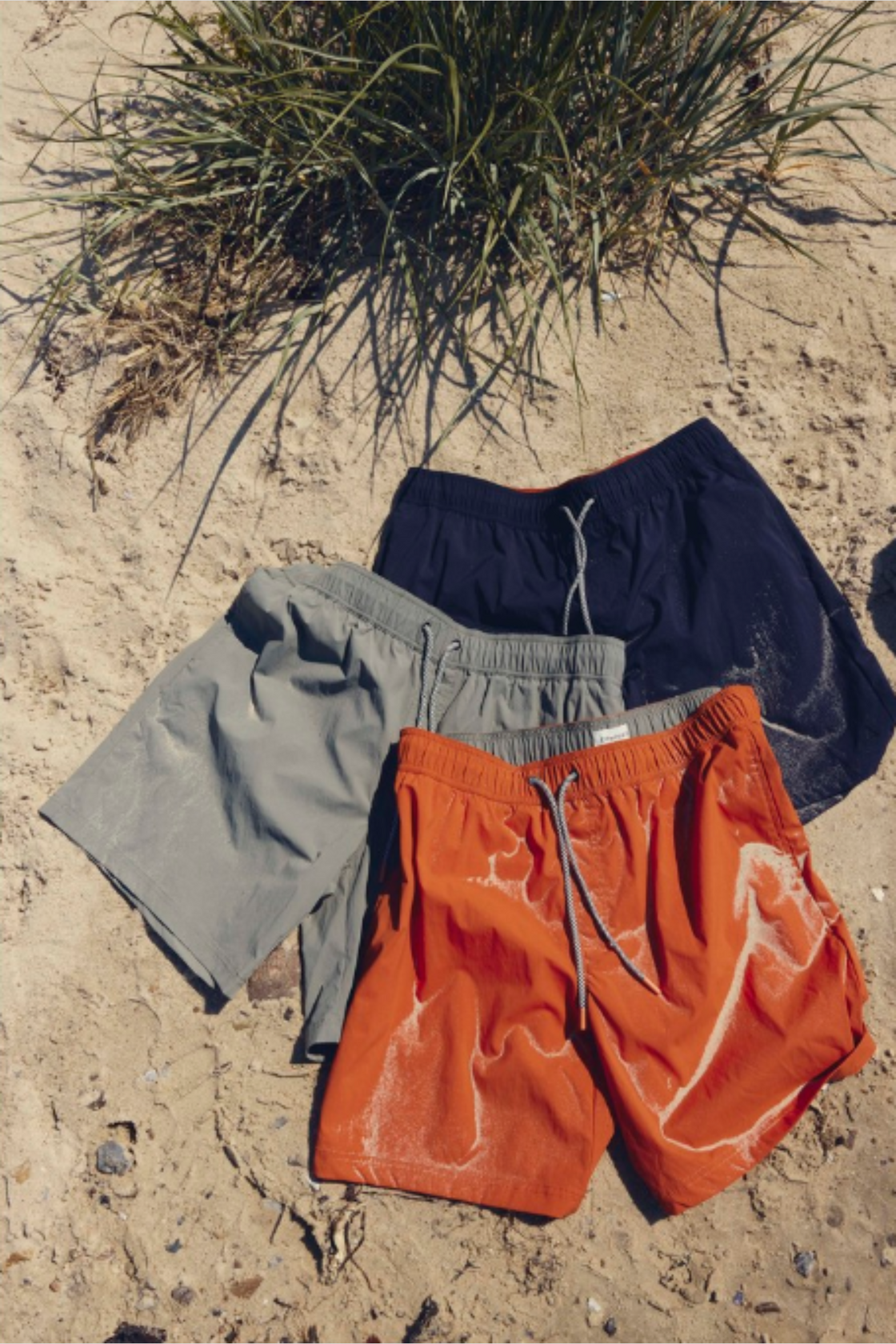 Compass Swim Shorts